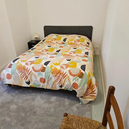 Apartmán -t3 De Standing Oloron-Sainte-Marie